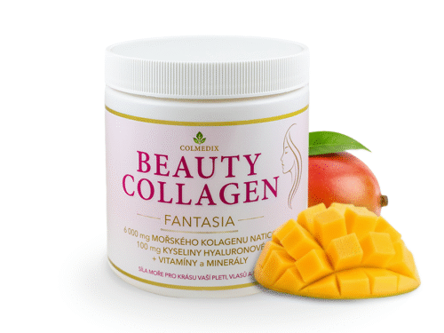 foto Collagen 500x375 ÚVODNÍ STRANA